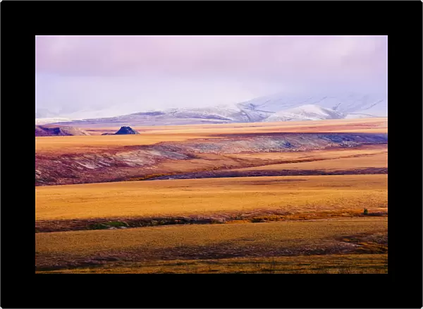 Fall Colours And Richardson Mountains, Dempster Highway, Yukon