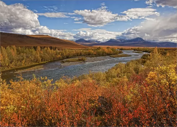 Upper Blackstone River Flowing North Along The Demspter Highway In Autumn; Yukon Canada
