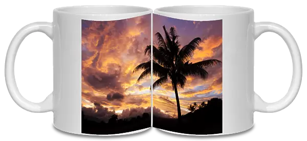 Fiji, Viti Levu Island, Sunrise and coconut palm tree