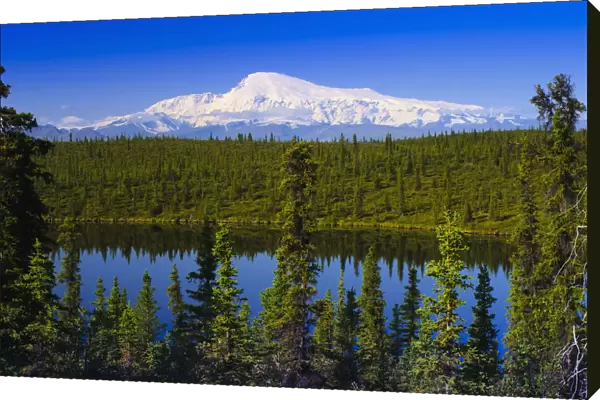 View Of Mount Sanford From Long Lake, Wrangell Saint Elias National Park, Southcentral Alaska, Summer