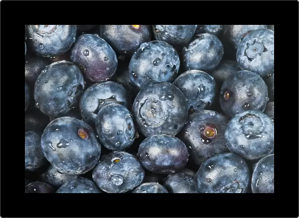 Close up shot of several fresh blueberries