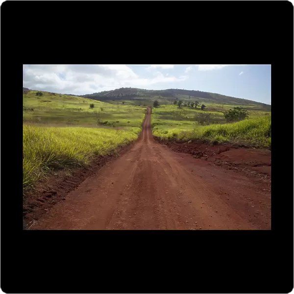 Hawaii, Lanai, The long red dirt road of Munrow Trail