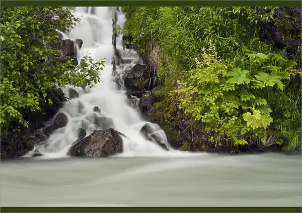 A Cascading Waterfall Flows Into Granite Creek, Turnagain Pass, Chugach National Forest, Summer