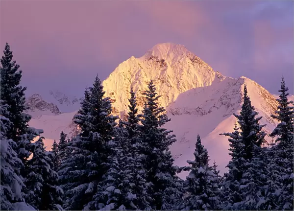 Chugach Mtns Bathed In Alpenglow Above Girdwood Ak Sc Winter