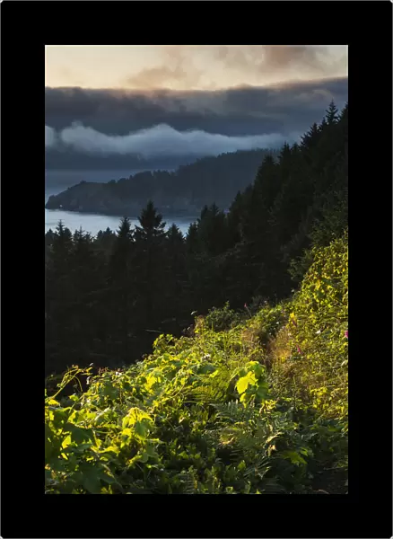 The Sun Sinks Into The Fog Near Cape Falcon; Manzanita, Oregon, United States Of America