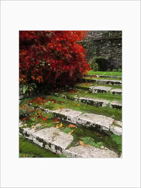 Steps On The Central Walk, Lismore Castle, Co Waterford, Ireland