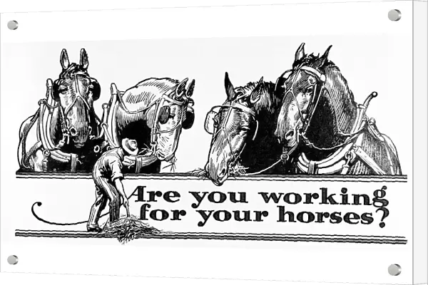Historic 'are You Working For Your Horses?'Advertisement With Illustration Of Farmer And Horses In Early 20th Century