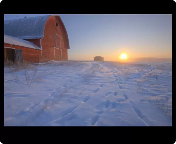 Red Barn On Very Cold Winter Morning At Sunrise, Alberta