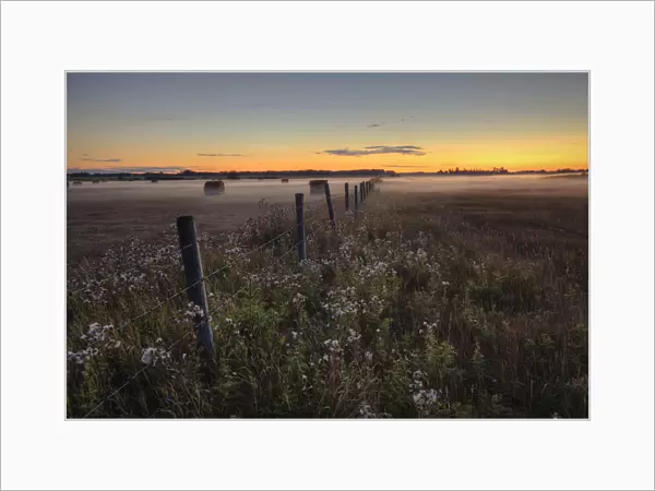 Summer Sunset Over Mist-Covered Pasture, Central Alberta