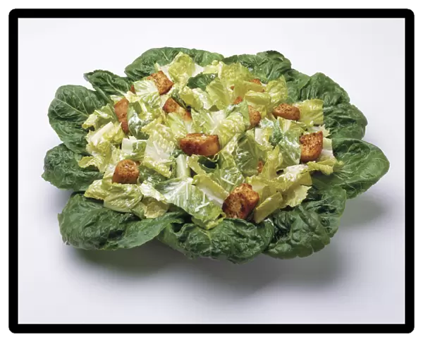 Food - Caesar salad prepared with Romaine lettuce, dressing, parmesan cheese and croutons, studio