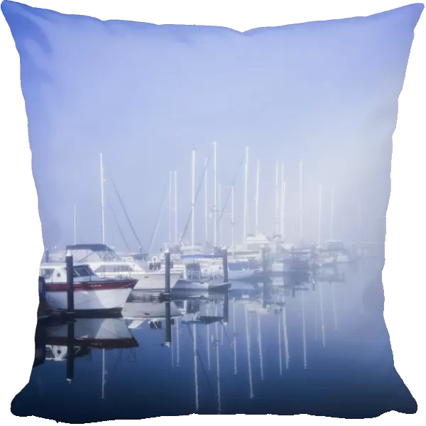 Docked Boats On A Foggy Morning, Winchester Bay; Oregon, United States Of America