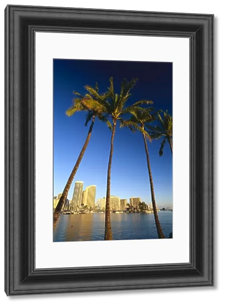 Hawaii, Oahu, Daytime View Of Waikiki Skyline And Harbor, Palm Trees In Foreground