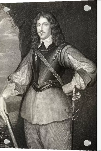 Montagu Bertie, 2Nd Earl Of Lindsey, 1608-166. English Royalist Soldier. From The Book 'Lodges British Portraits'Published London 1823