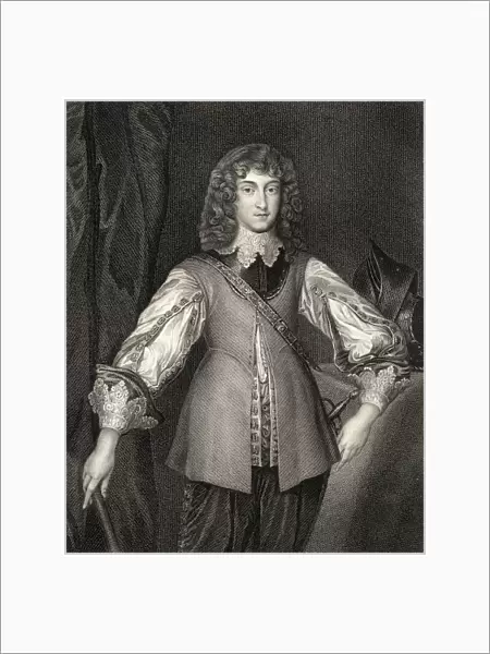 Prince Rupert Aka Rupert Of The Rhine, German Prinz Rupert, 1619-1682. Most Talented Royalist Commander Of English Civil Wars. From The Book 'Lodges British Portraits'Published London 1823