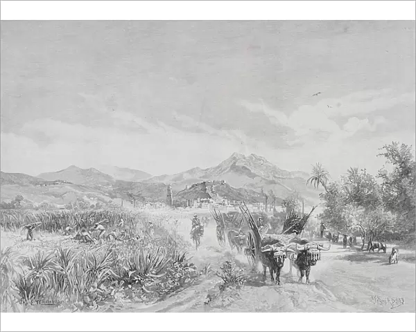 Malaga, Spain, From The Sugar Fields By Edward T. Compton (1849-1921) From The Picturesque Mediterranean Circa 1890