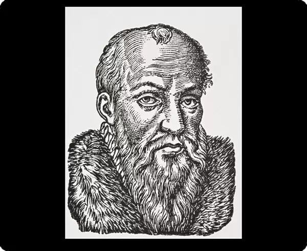 Jacques Cujas, Cujacius Or Jacques De Cujas, 1520 - 1590. French Legal Expert. From Science And Literature In The Middle Ages By Paul Lacroix Published London 1878