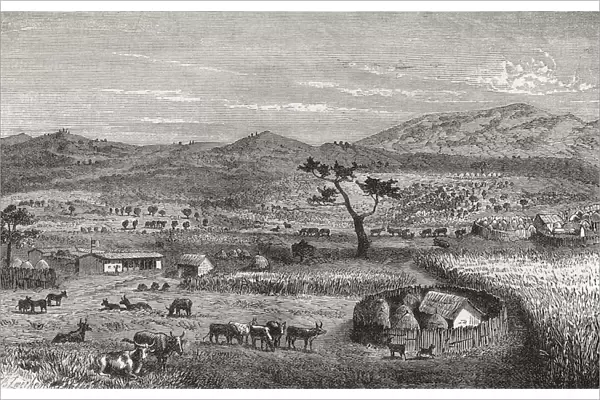 A Settlement In Kouihara, West Africa, In The 19Th Century. From El Mundo En La Mano Published 1878
