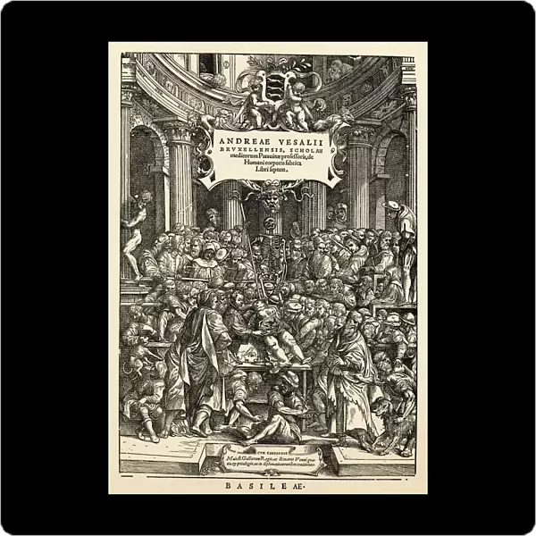 Anatomy Lesson On Title Page Of De Humani Corporis Fabrica Libri Septem (On The Fabric Of The Human Body In Seven Books) By Andreas Vesalius, Published Basel, 1543. This Image After A 19Th Century Reproduction
