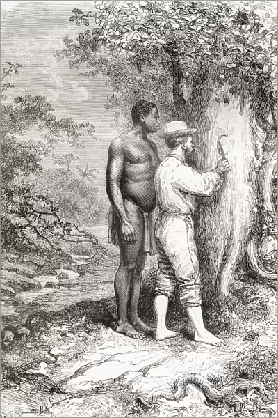 Jules Crevaux, During His Exploration Of French Guiana In 1878, Carving His Initials On A Tree On The Banks Of The Oyapock Or Oiapoque River, South America In The 19th Century. Jules Crevaux, 1847