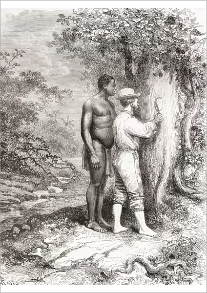 Jules Crevaux, During His Exploration Of French Guiana In 1878, Carving His Initials On A Tree On The Banks Of The Oyapock Or Oiapoque River, South America In The 19th Century. Jules Crevaux, 1847