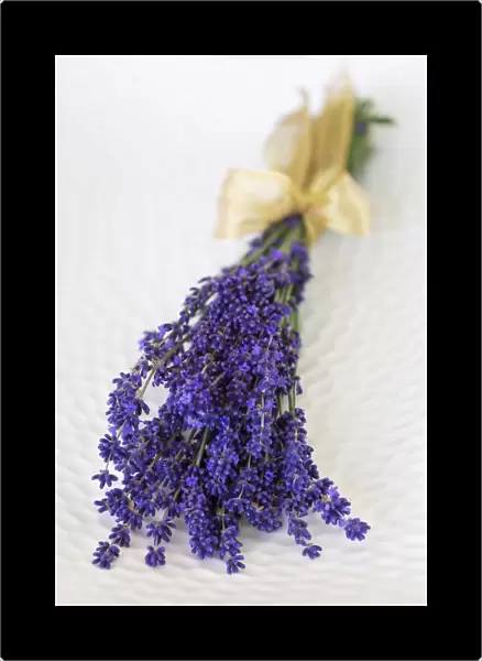 Cut lavender