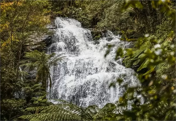 Hopetoun Falls, Beech Forest, Victoria, Australia