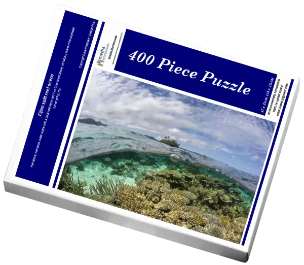 Fijian split reef scene