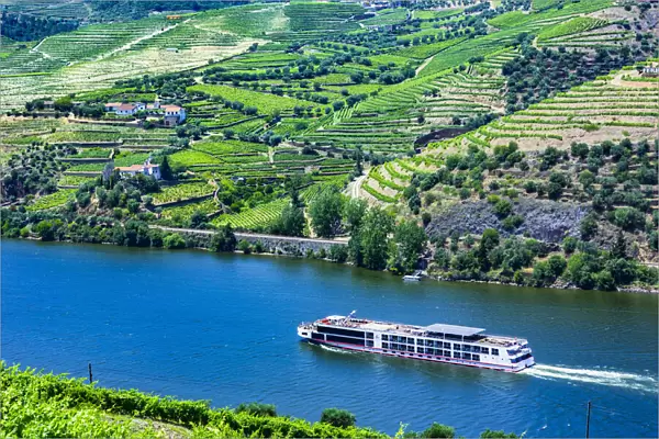 Tour boat along the Douro River in the Douro River Valley, Norte, Portugal