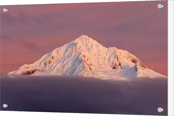 Snow-covered peak of Mount Hood at sunset, Pacific Northwest, Oregon, USA
