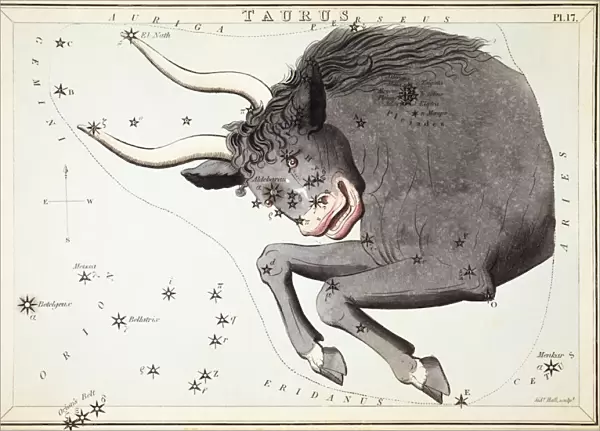 Taurus. Card Number 17 from Uranias Mirror, or A View of the Heavens, one of a set of 32 astronomical star chart cards engraved by Sidney Hall and published 1824