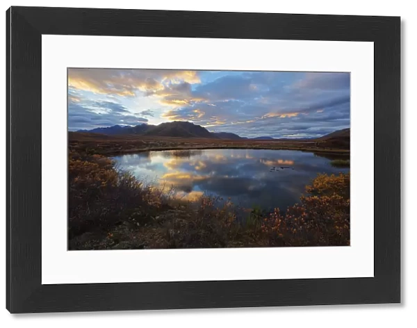 Sunset clouds reflected in a small pond in the peel watershed along the dempster highway; Yukon canada