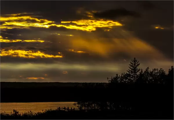 Dramatic colourful sky with sun beams coming down from the sky reflecting on a lake with trees silhouetted in the foreground; Calgary, Alberta, Canada