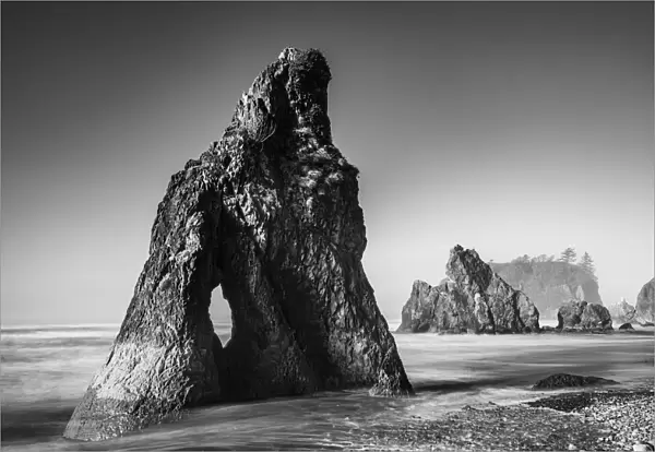 Black and white image of sea stacks and Abbey Island at Ruby Beach in the Olympic National Park, on the Washington Coast; Forks, Washington, United States of America