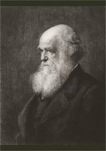 Charles Robert Darwin, 1809 - 1882. English naturalist and writer. From an engraving by Paul Adolphe Rajon, after Walter William Ouless