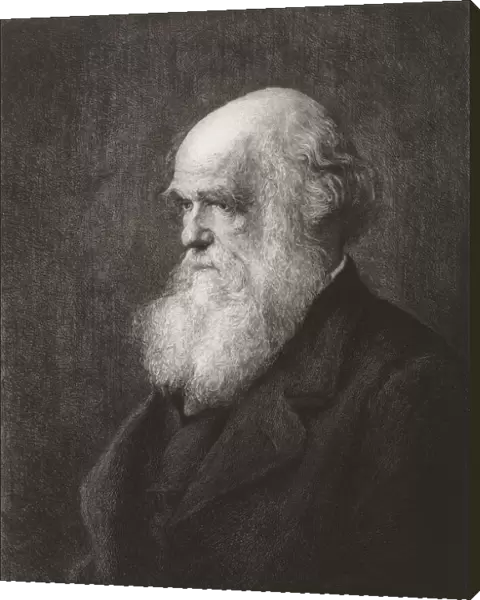 Charles Robert Darwin, 1809 - 1882. English naturalist and writer. From an engraving by Paul Adolphe Rajon, after Walter William Ouless