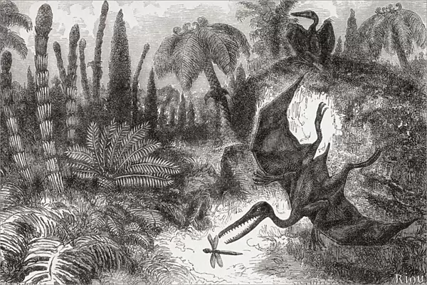 Imaginary view of pterosaurs or pterodactyls. From The Universe or, The Infinitely Great and the Infinitely Little, published 1882