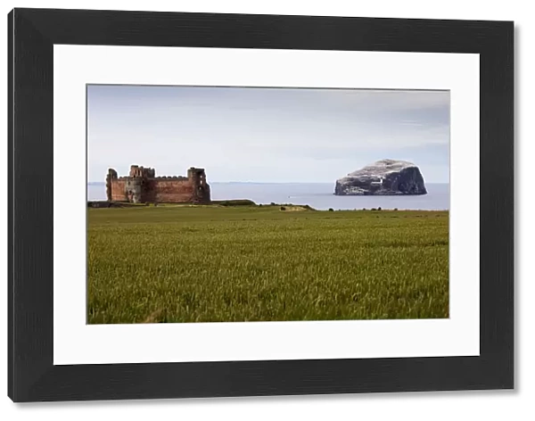 Tantallon Castle On The Waters Edge And Bass Rock Off The Coast; Lothian Scotland