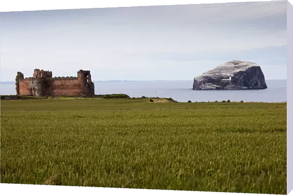 Tantallon Castle On The Waters Edge And Bass Rock Off The Coast; Lothian Scotland