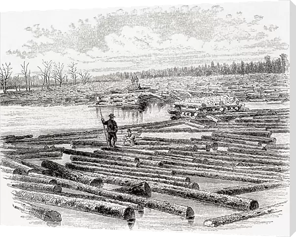 Lumber Trade West Chicago 19th Century Down At The Boom
