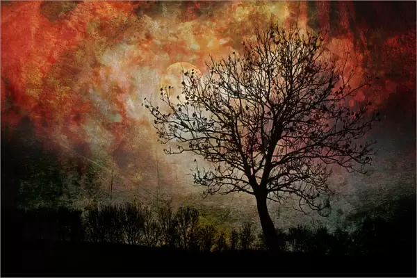 Artistic double exposure of the silhouette of a tree