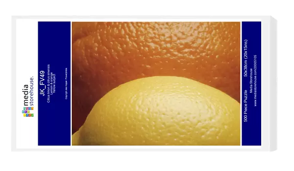 JK_FV49. Citrus limon & citrus sinensis. Lemon & orange. Yellow subject