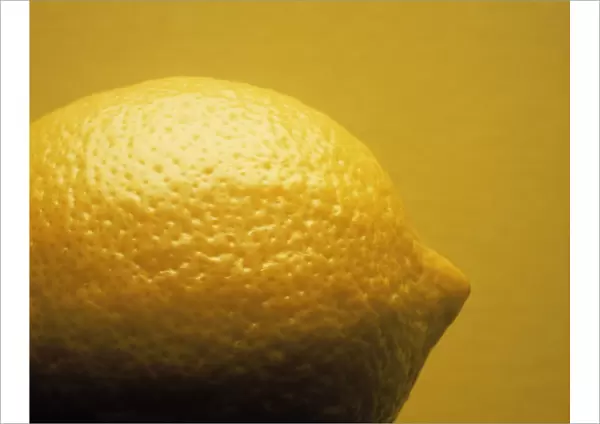 JK_FV05. Citrus limon. Lemon. Yellow subject. Yellow b / g