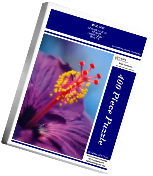 MAM_0458. Hibiscus syriacus. Hibiscus. Purple subject. Blue b / g
