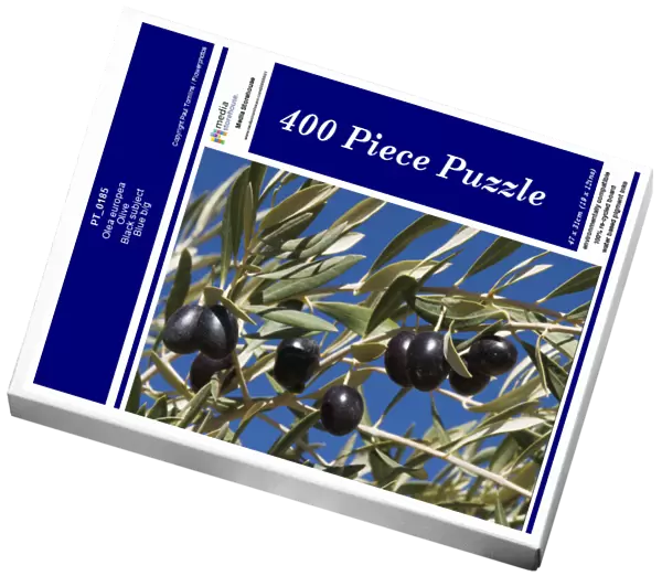 PT_0185. Olea europea. Olive. Black subject. Blue b / g