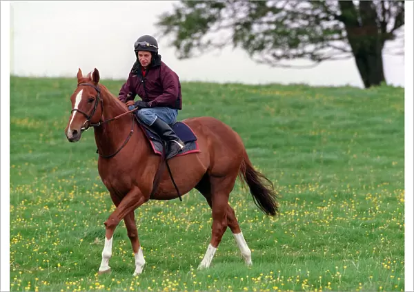 Jockey John McAuley on race horse Serious Hurry, June 1988