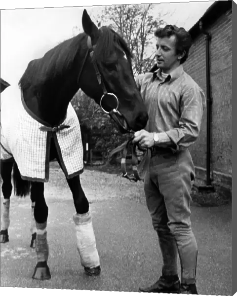 Mill Reef with the stable lad John Hallum walking round the stables at Kingsclere today