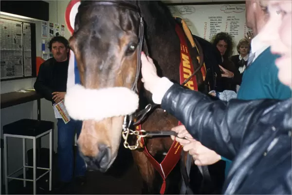 Red Rum makes a personal appearance at Surrey Racing Bookmakers in Woking Surrey in March