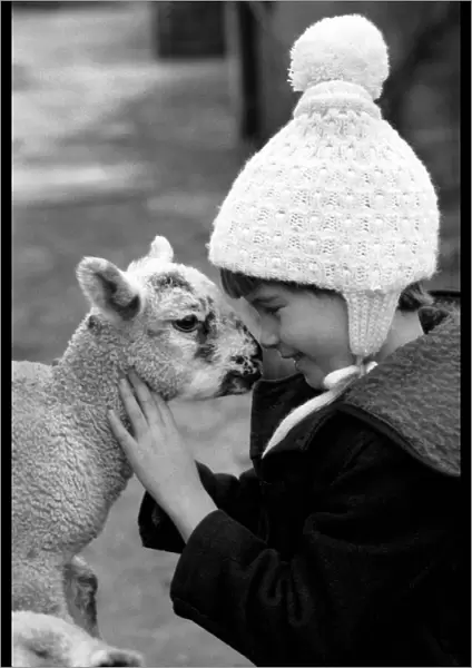 Children  /  Animals  /  Cute. Lamb and Child. December 1976 76-07533
