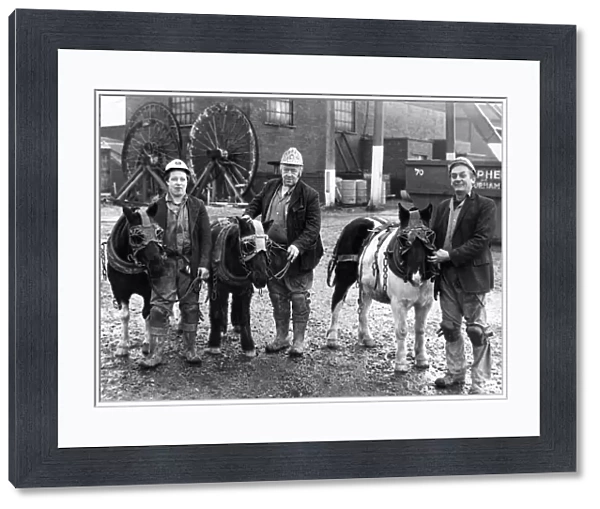 Pit ponies bullet, Darkie and Baldie, with pitmen George Oxley