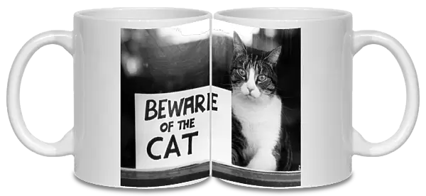 Animals - Cats. Spyke... Postmen take good notice of this notice. September 1982 P000462